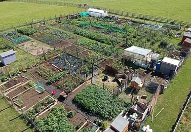 aerial view of allotments
